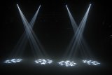 Lemon LED SPOT 10 